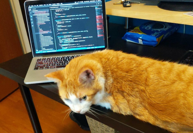 working from home with pets